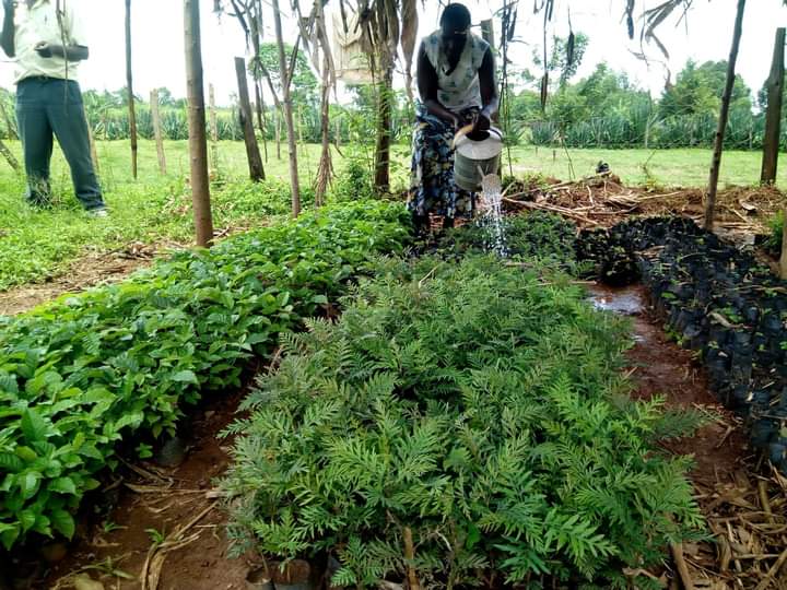 Agro-Ecology